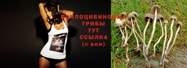 jwh Волоколамск