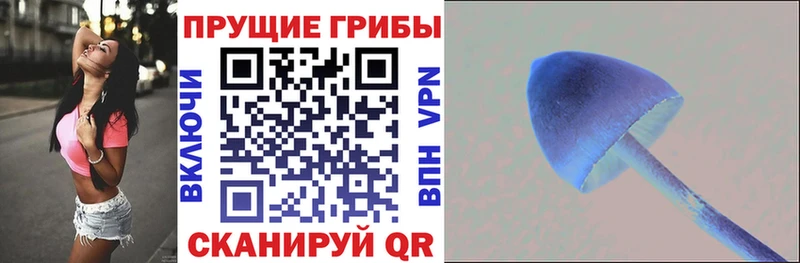 закладка Лысьва Псилоцибиновые грибы ЛСД